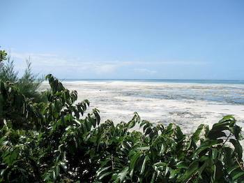 Zanzibar Rock Resort Pongwe Exterior photo